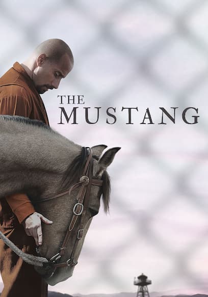 The Mustang