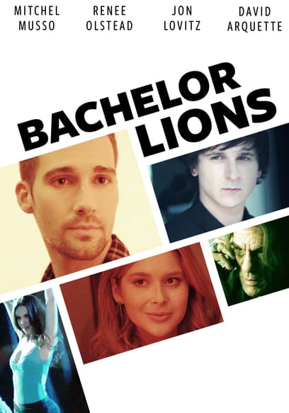 Bachelor Lions
