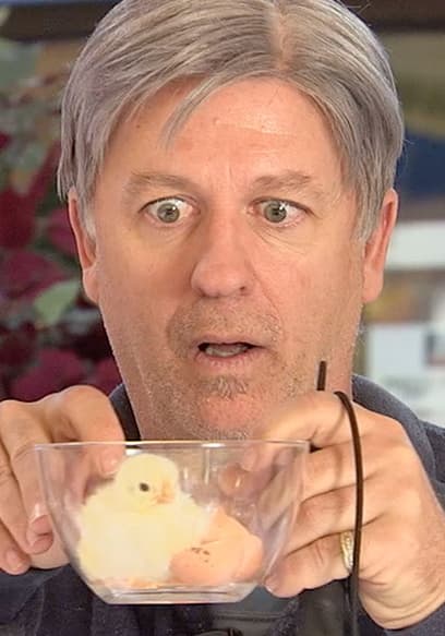 S09:E18 - Microwave Hatches Egg poster