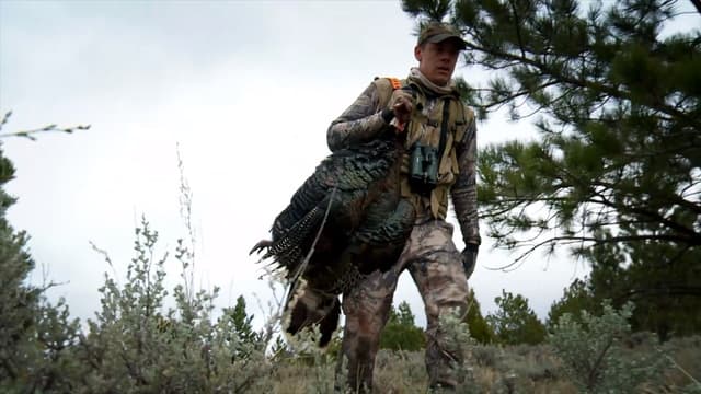 S02:E01 - Big Sky, Bigger Birds: Montana Wild Turkey