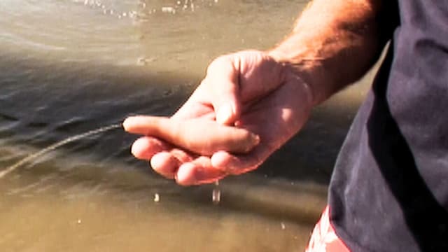 S06:E08 - Hunting Inn Keeper Worms for Corbina: Newport Beach