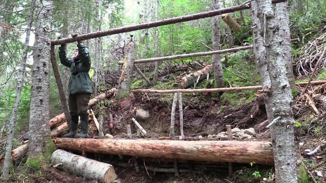 S09:E03 - The Law of the Land