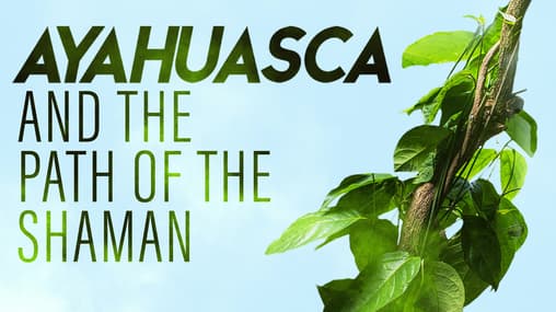 その他 Ayahuasca and The Path of the Shaman [Blu-ray] Ayahuasca and The Path of the Shaman [Blu-ray]