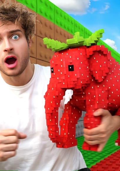 S01:E10 - Playing Roblox Steal a Brainrot IRL! poster