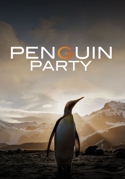 Penguin Party