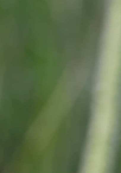 S01:E07 - Flora With Big Personality poster