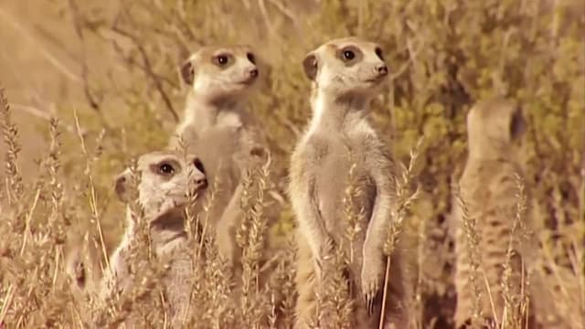 S02:E13 - Episode 13