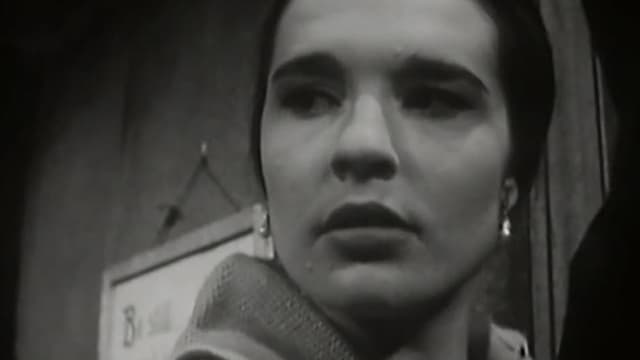 S02:E19 - The Golden Eggs