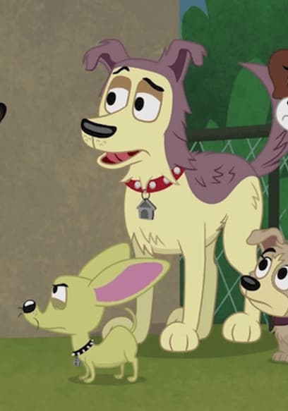S01:E19 - The K9 Kid poster