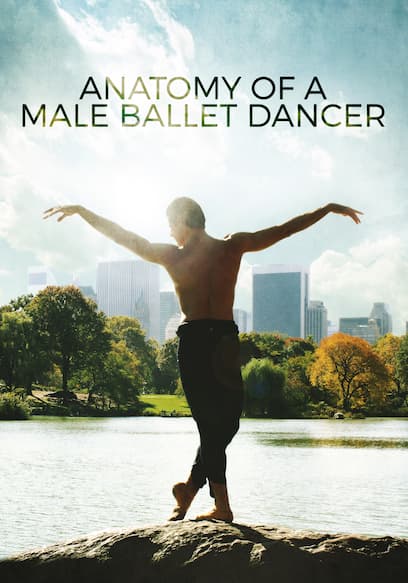 Anatomy of a Male Ballet Dancer poster