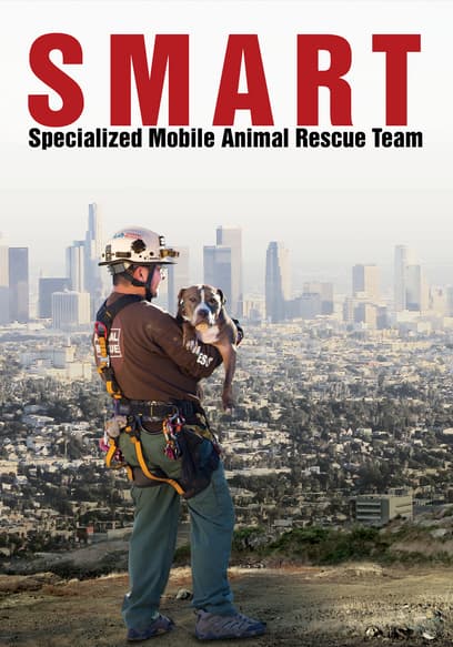 SMART: Specialized Mobile Animal Rescue Team