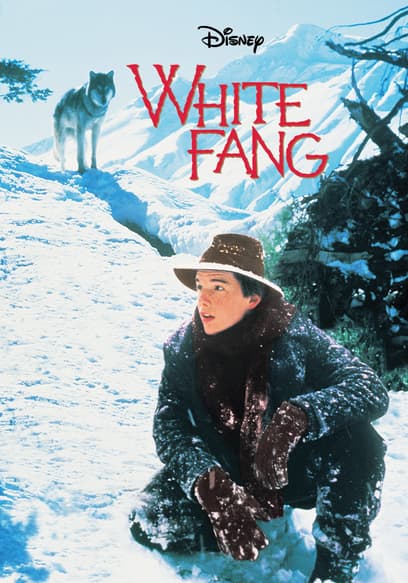 White Fang