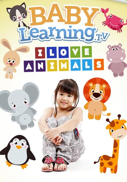 BabyLearning.tv: I Love Animals