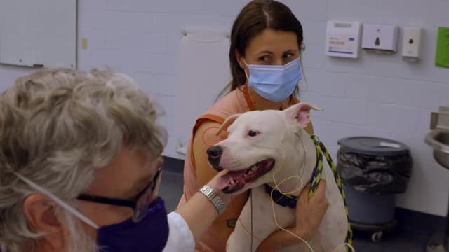 S18:E04 - Sound of Silence