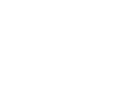 Rock