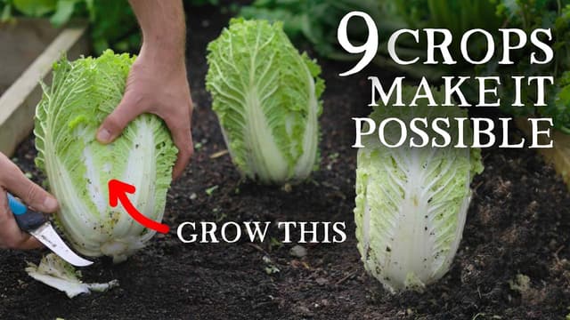 S01:E03 - Self Sufficiency Starts With These 9 High Yielding Crops