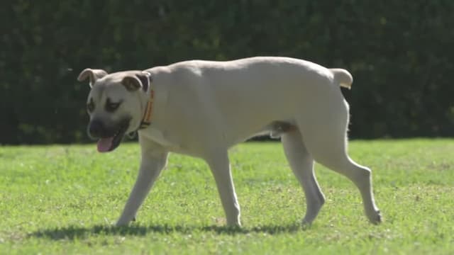 S01:E09 - The Madurai's and Mike