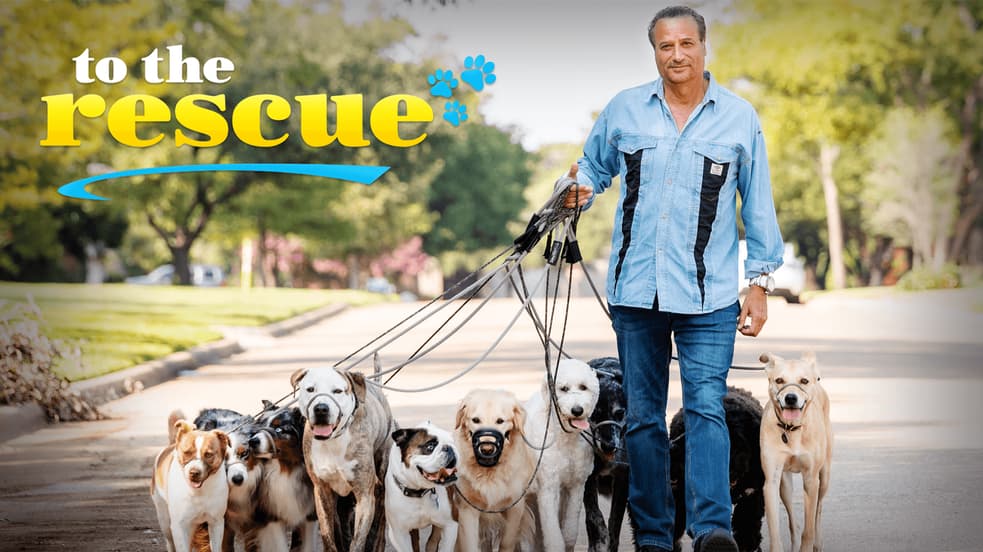 Watch To the Rescue Streaming Online | Tubi Free TV