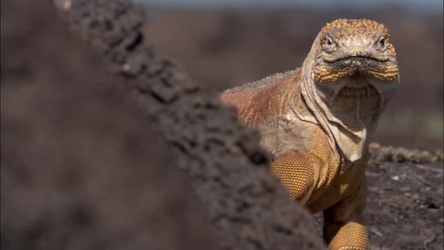 S01:E03 - Forces of Change