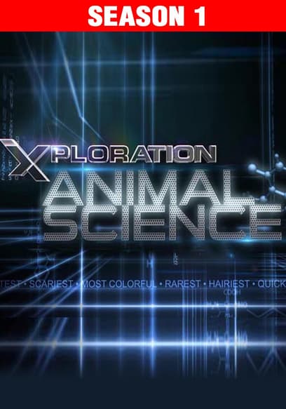 Xploration Animal Science