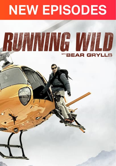 Running Wild with Bear Grylls