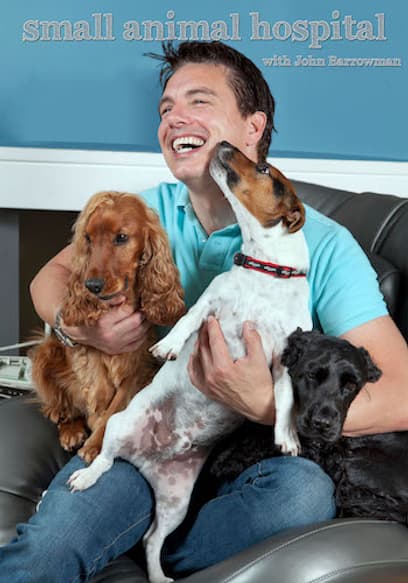 Small Animal Hospital poster