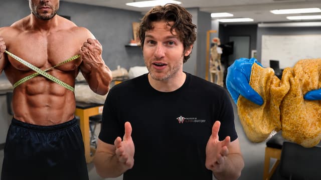 S01:E05 - The Best Way to Lose Fat According to Anatomy | The Science of the Fat Burning Zone