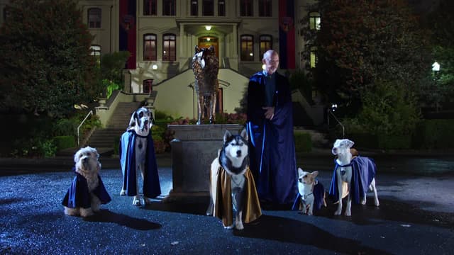 S01:E01 - The Stray's First Day