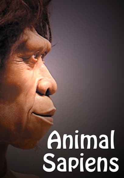 Animal Sapiens