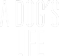 A Dog's Life
