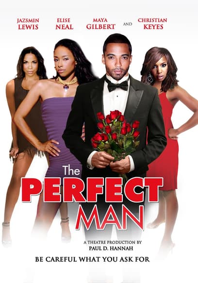 The Perfect Man