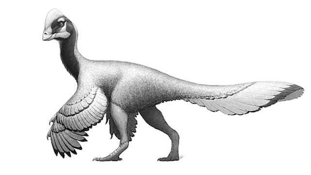 S05:E09 - Hell / Pazuzu