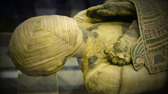 S09:E05 - Secrets of the Mummies