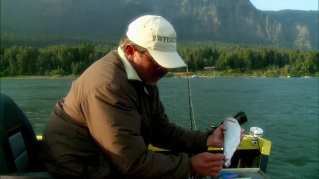 S02:E01 - Panama Marlin & Oregon Sturgeon