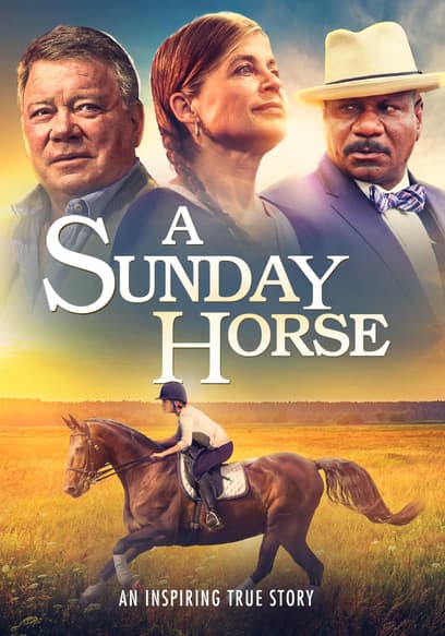A Sunday Horse