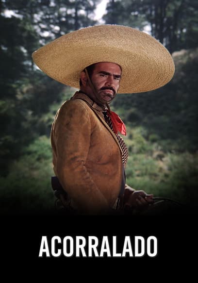 Acorralado