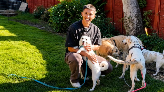 S02:E01 - The Start of Rescueing 30 Dogs in 30 Days!