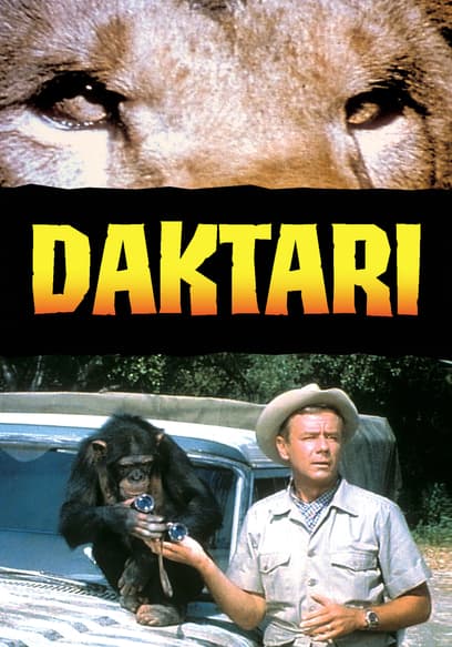 S02:E03 - Daktari's Last Hunt