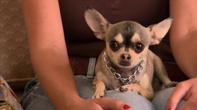 S02:É01 - S02:E01 - Raging Bandit 