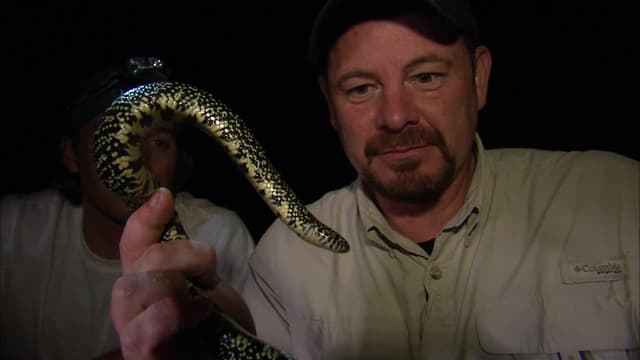 S02:E03 - Bayou Road Trip