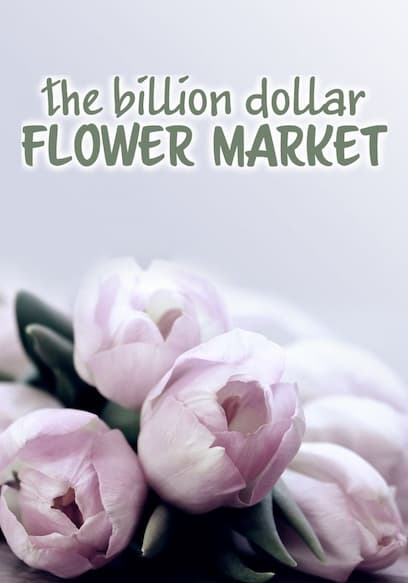The Billion Dollar Flower Market