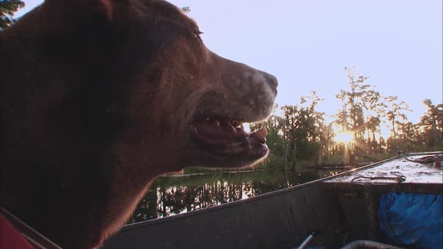 S02:E04 - First Mates