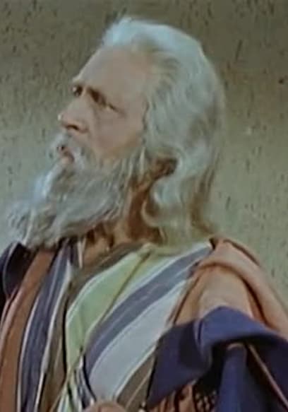 S01:E11 - Old Testament Series: David, a Young Hero poster