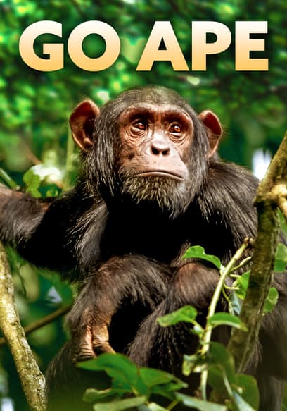 Go Ape poster