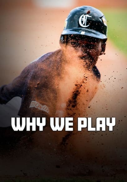 Why We Play