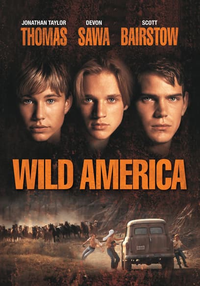 Wild America