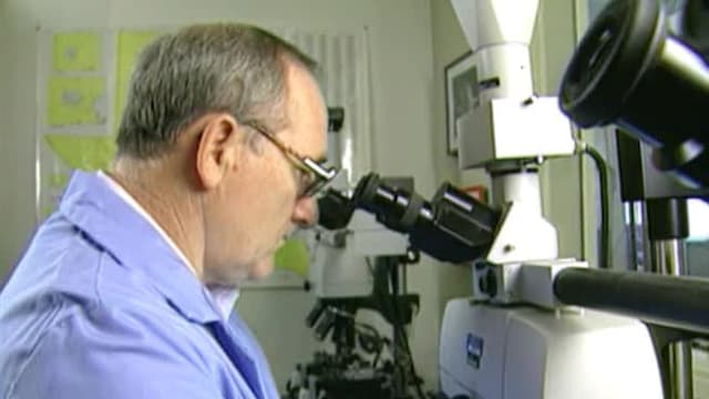 S01:E02 - La bala mágica