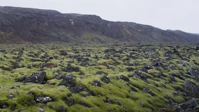 S01:E08 - The Young Earth of the Reykjanes Peninsula