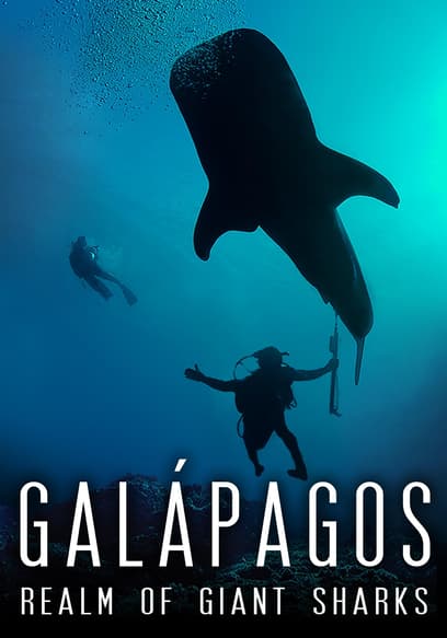 Galápagos: Realm of Giant Sharks