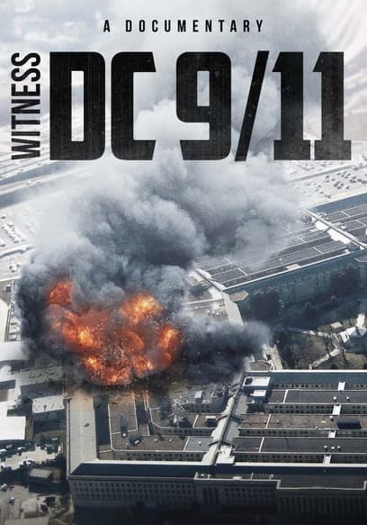 Witness: DC 9/11 poster